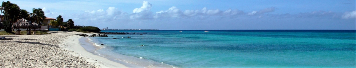 Aruba Beach Panorama (Public Domain / Pixabay)  Public Domain 
Información sobre la licencia en 'Verificación de las fuentes de la imagen'